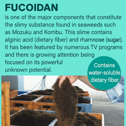 OKINAWA FUCOIDAN
