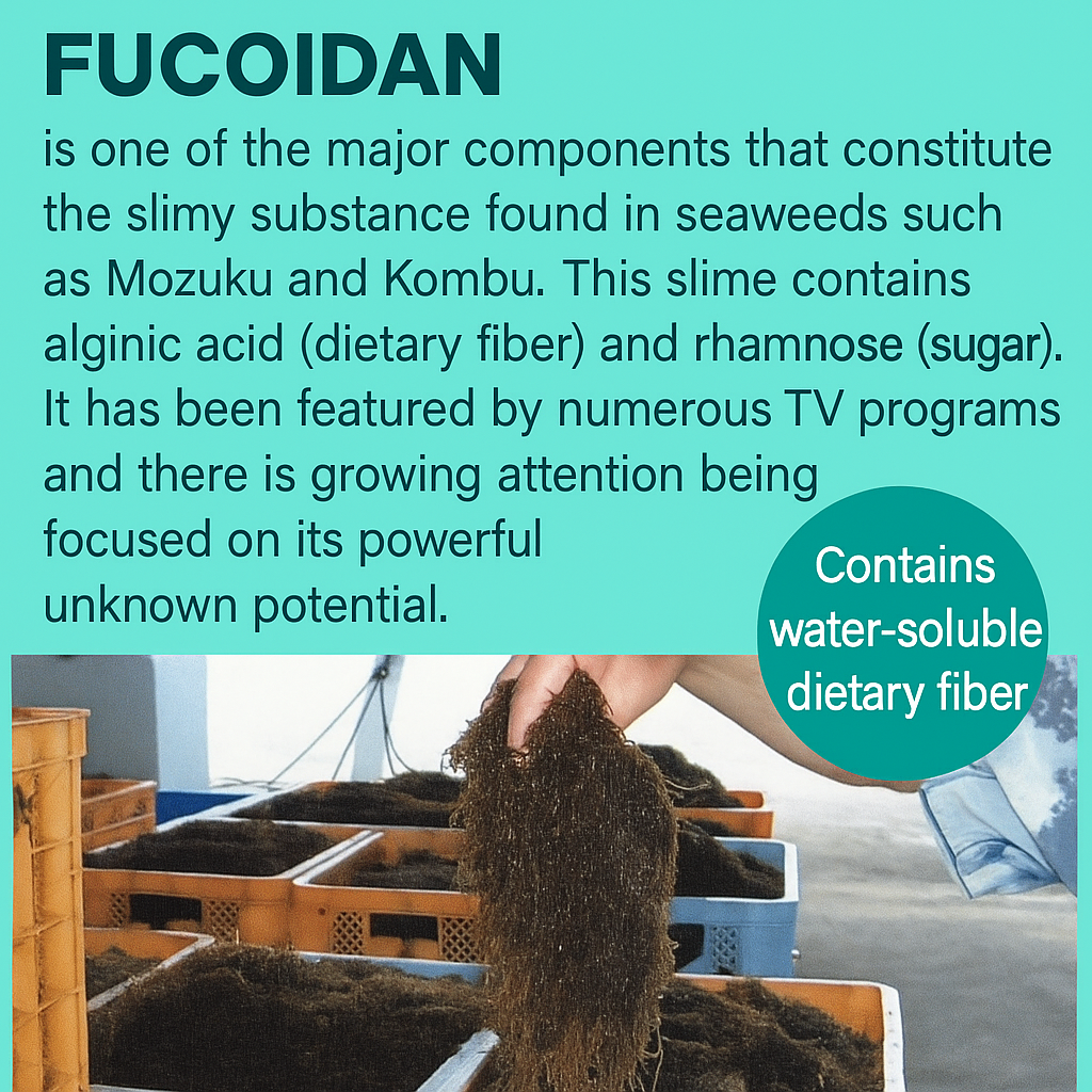 FUCOIDAN EXTRACT POWDER CAPSULES